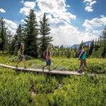 Banff: Edible and Medicinal Plants Nature Walk - The Details: What’s Included and Not