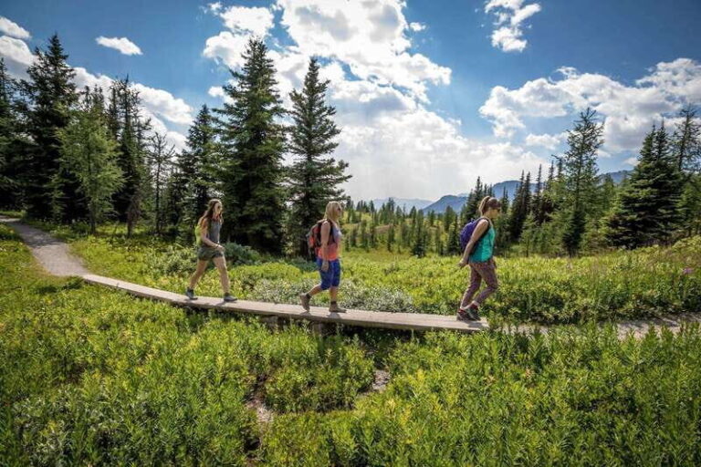 Banff: Edible and Medicinal Plants Nature Walk - The Details: What’s Included and Not
