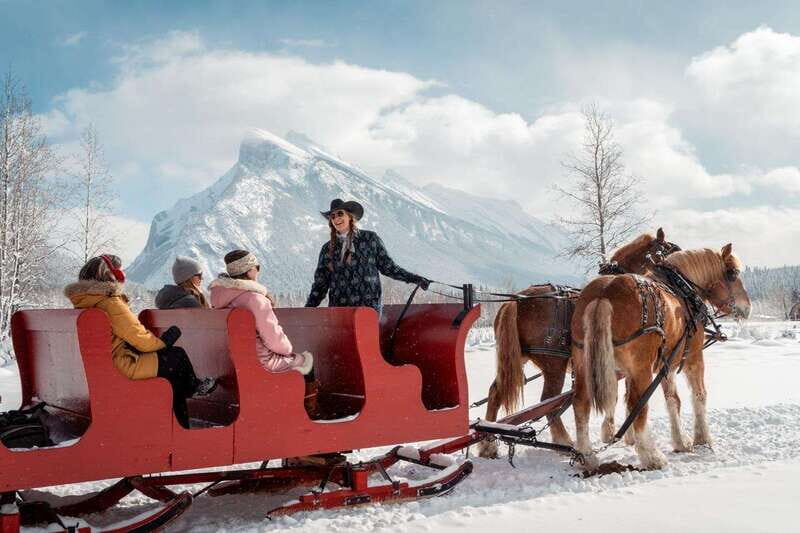 Banff: Family Friendly Horse-Drawn Sleigh Ride - The Ride Experience: Details and Atmosphere