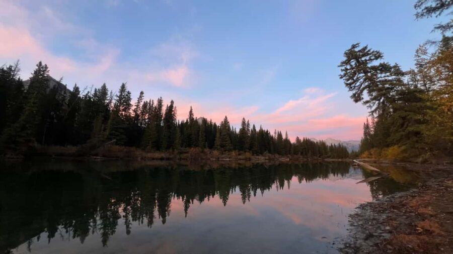 Banff: Grizzly Bear & Nature Walk & Hidden Gem Sunset Tour - Exploring the Tour in Detail