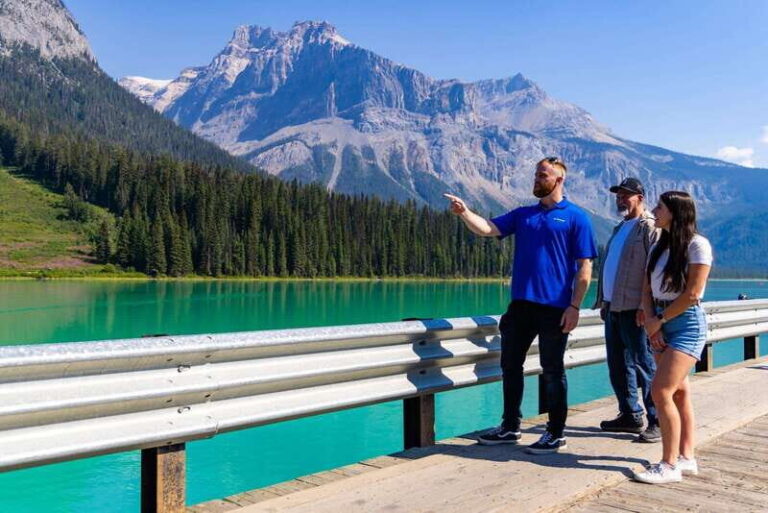 Banff: Grizzly Bear Refuge Tour with Lunch - Why Travelers Rave About This Tour