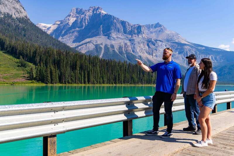 Banff: Grizzly Bear Refuge Tour with Lunch - Why Travelers Rave About This Tour