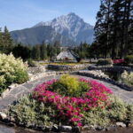 Banff: History Tour with Private Group Museum Tours + Entry - What Makes This Tour Special?