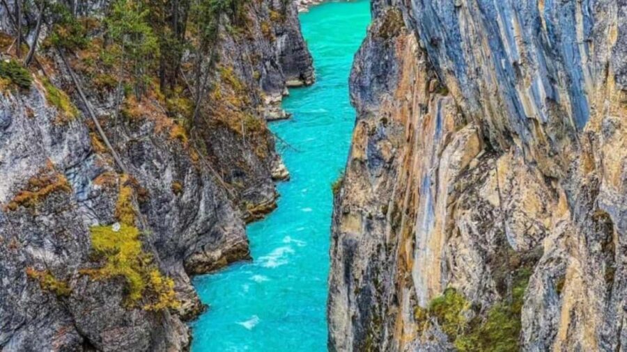 Banff, Lake Louise, Moraine ,Emerald & Johnston Canyon tour - Who Should Consider This Tour?