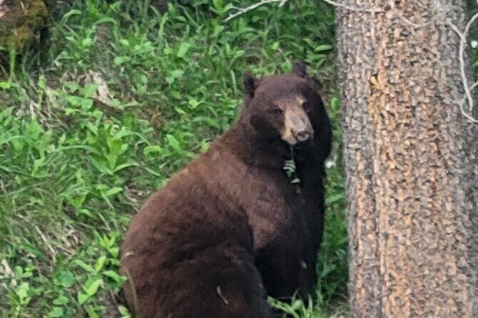 Banff Mountain Adventure with Hiking and Canoeing Options - Who Is This Tour Best Suited For?