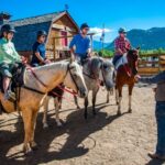 Banff National Park: 1-Hour Bow River Horseback Ride - Horses and Guides: What We Love