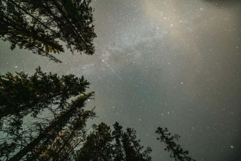 Banff National Park Sunset and Stars Walking Tour - The Value in the Experience