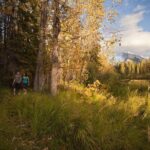 Banff: Private Guided Nature Walk - 2H - Who Should Consider This Experience?