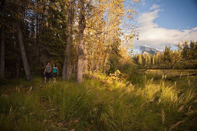 Banff: Private Guided Nature Walk - 2H - Who Should Consider This Experience?