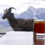 Banff: Sightseeing Chairlift Ride High Above Banff - Final Thoughts: Is This Experience Right for You?