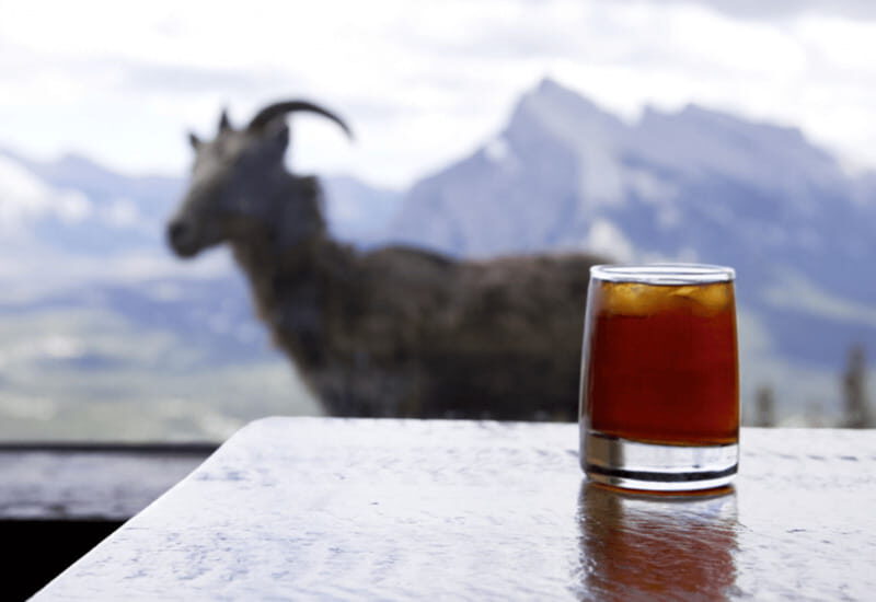Banff: Sightseeing Chairlift Ride High Above Banff - Final Thoughts: Is This Experience Right for You?