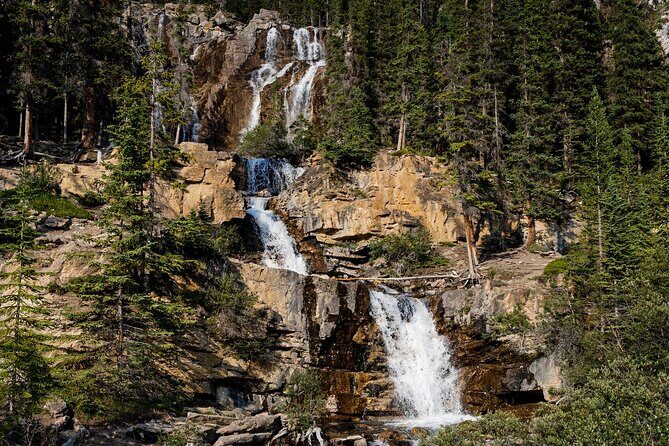 Banff Thermal Water and Hidden Waterfalls Walking Tour - Price and Value