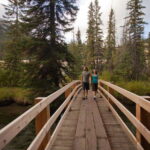 Banff: Thermal Waters and Hidden Waterfalls - 3hr Walk - What You Can Expect from the Tour
