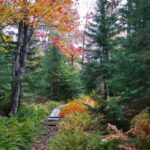 Bar Harbor: Acadia National Park Autumn Leaf Private Tour - The Itinerary Explained