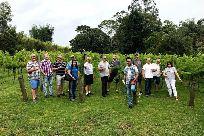 Barefoot Luxury Mount Tamborine Winery Tour from Brisbane - What Travelers Say About the Experience