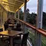 Barossa Full Day Wine Tour - What Do Past Guests Say?