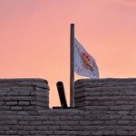 Barrio Viejo Tucson Walking Tour & Scott Avenue with Guide - What to Expect on the Tour