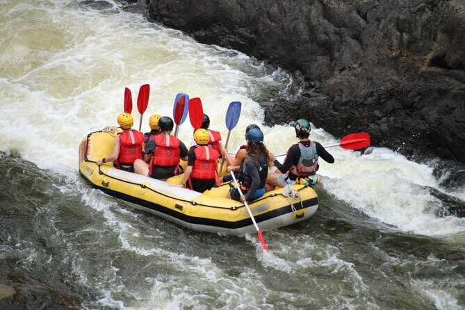 Barron River Half-Day White Water Rafting Cairns or Port Douglas - The Highlights That Make This Tour Stand Out