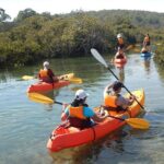 Batemans Bay Glass-Bottom Kayak Tour Over 2 Relaxing Hours - Who This Tour Is Perfect For