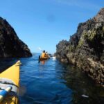 Batemans Bay: Half-Day Sea Kayak Tour - What to Expect During the Tour