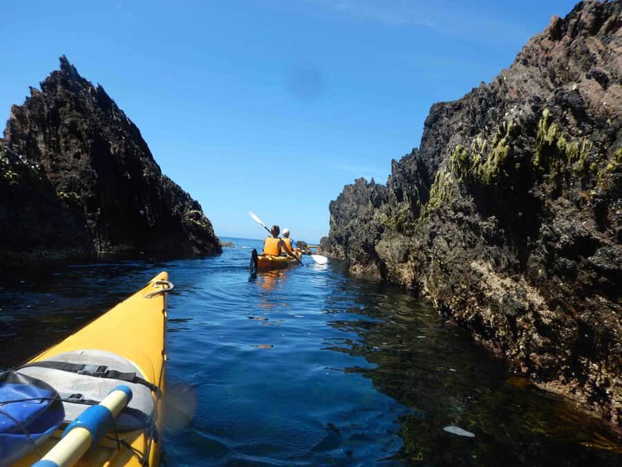 Batemans Bay: Half-Day Sea Kayak Tour - What to Expect During the Tour