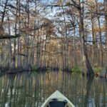 Baton Rouge: Kayak Tour Through the Historic Atchafalaya - Wildlife Encounters