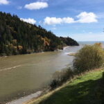 Bay of Fundy Tour by Luxury Car - Included and Practical Details