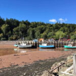 Bay of Fundy Tour by Mini Van - Final Thoughts