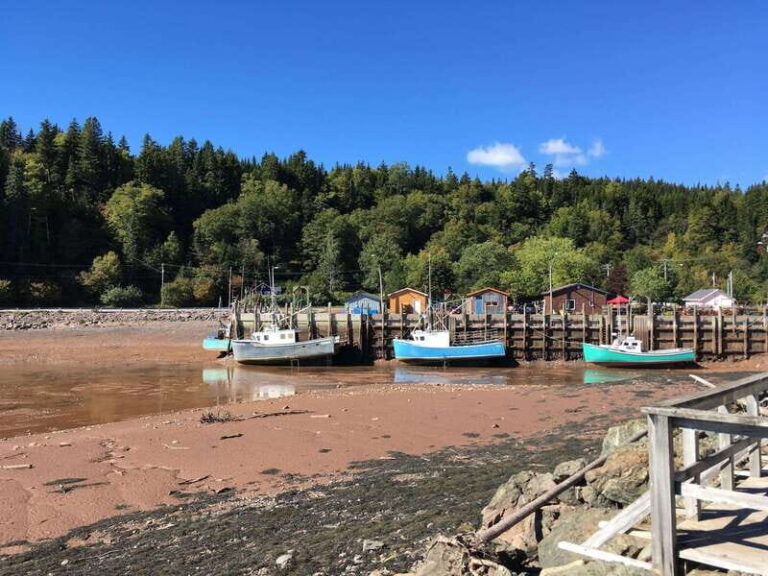 Bay of Fundy Tour by Mini Van - Final Thoughts