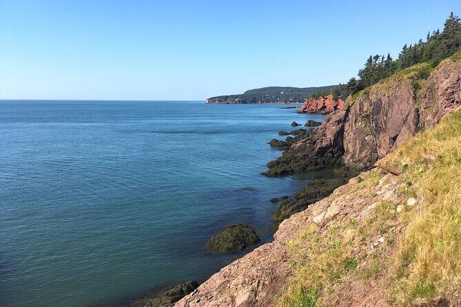 Bay of Fundy Tour in Luxury Car - Is This Tour Right for You?