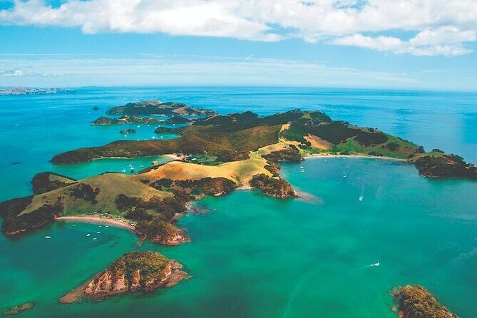 Bay of Islands Private Tour - What’s the Value?