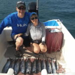 Bay tour: Private Boat Tour with Snorkeling and Fishing - How Does the Price Stack Up?