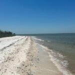 Beach and Shelling Excursion - Public - The Value of This Experience