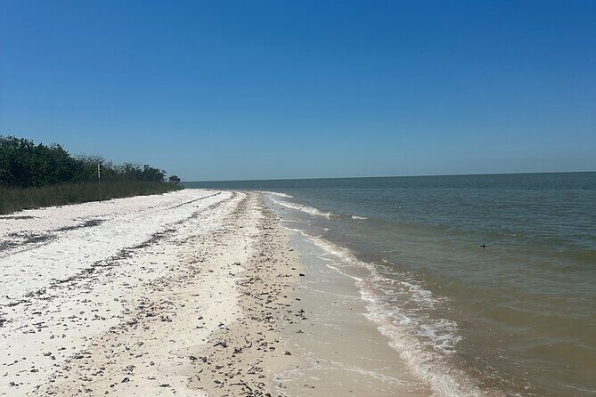 Beach and Shelling Excursion - Public - The Value of This Experience