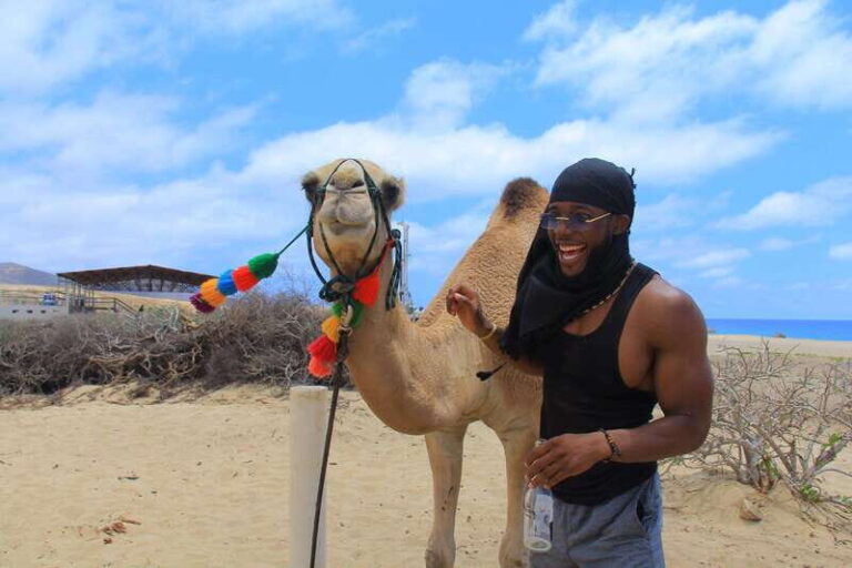 Beach Camel Ride & Encounter in Cabo by Cactus tours park - Is It Worth the Price?