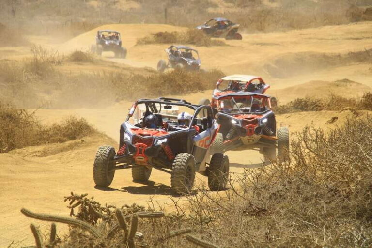 Beach & Desert Premium RC UTV Tour in Cabo price per person - Whats Included and What Costs Extra?