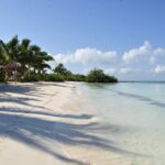 Beach Escape: Isla Contoy and Isla Mujeres with Snorkeling. - Practical Details and What to Bring