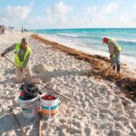 Beach Guardians Clean up & Picnic plus Otoch Mayan Experience - FAQs