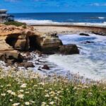 Beaches & Bluffs San Diego's Ultimate Coastal Driving Tour - The Value and Practicalities