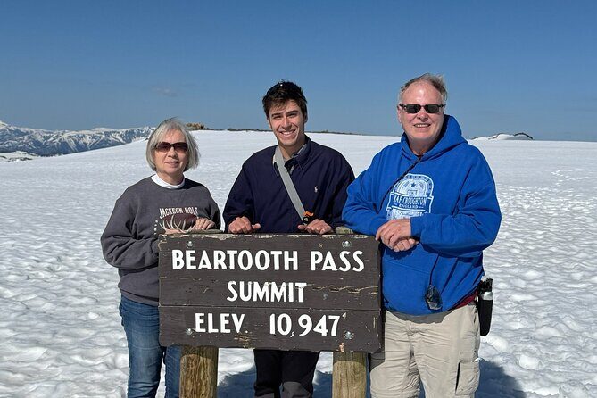 Beartooth Highway Private Tour With Wildlife Guide - What We Think About the Experience