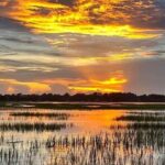 Beaufort Private Dolphin Excursions - The Experience of Dolphin Watching