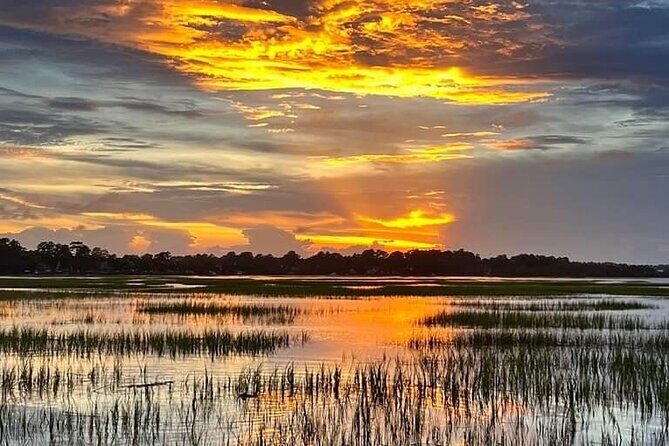 Beaufort Private Dolphin Excursions - The Experience of Dolphin Watching