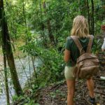 Beautiful Daintree Waterfall Walk, Magical Swim & Heavenly Lunch - Practical Details You Need to Know