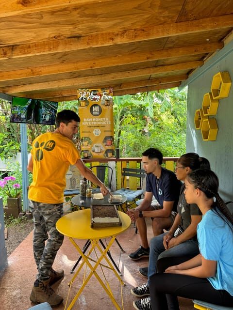 Bee Farm Tour & Honey Tasting - The Setting and Logistics