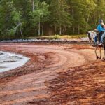 Beginner Brudenell Beach Trail Ride - Who Would Love This Experience?