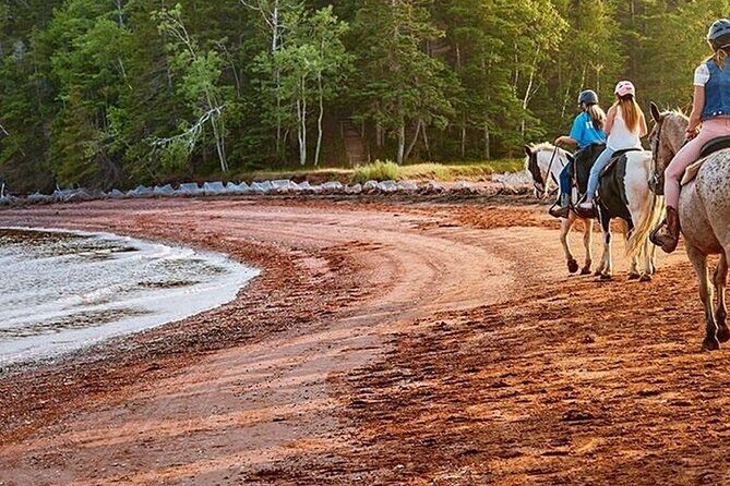 Beginner Brudenell Beach Trail Ride - Who Would Love This Experience?