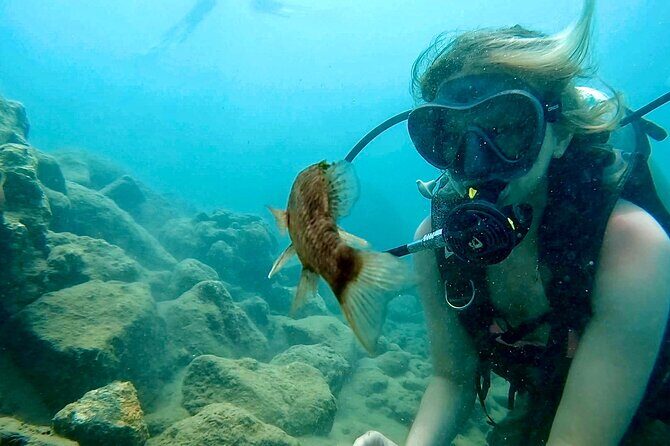 Beginner Scuba Diving Experience With Videos in West Palm Beach - The Videos and Photos