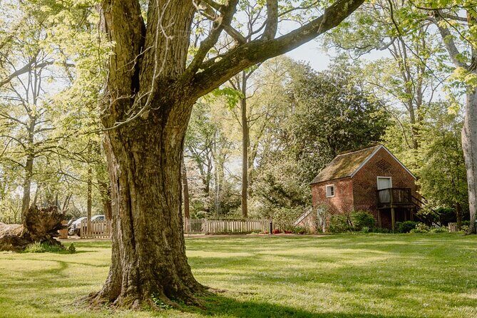 Belle Meade Guided Mansion Tour with Complimentary Wine Tasting - Who Is This Tour Best Suited For?