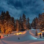 Bend: Cascade Mountains Snowshoeing Tour and Bonfire - Authentic Traveler Insights