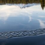 Bend: Deschutes River Guided Flatwater Kayaking Tour - Who Will Love This Tour?